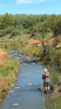 Fly Fishing, The Angler and Antelope Guesthouse